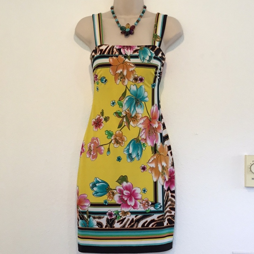 NWT Vintage Cache Dress
